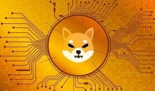 【shi币】Shirtum什么地方下载 屎币app苹果官方版