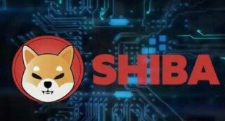 2022年有人收维卡币吗(2022年维卡币商城)