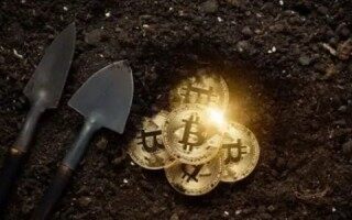 维卡币最后53天了(维卡币会成功吗要等待何时)