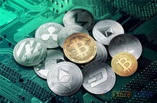 美国人与兀币(兀币值多少美金一枚)