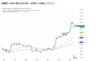 为什么比特币在土耳其、埃及、尼日利亚和阿根廷创下了历史新高?