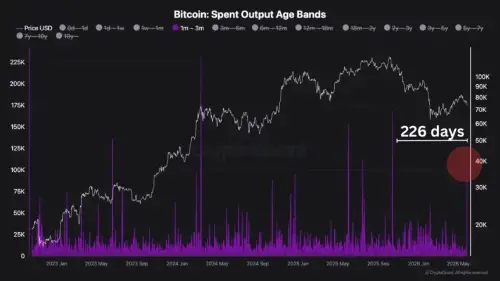 市场不安：短期比特币持有者在价格暴跌中转移超过 100,000 BTC